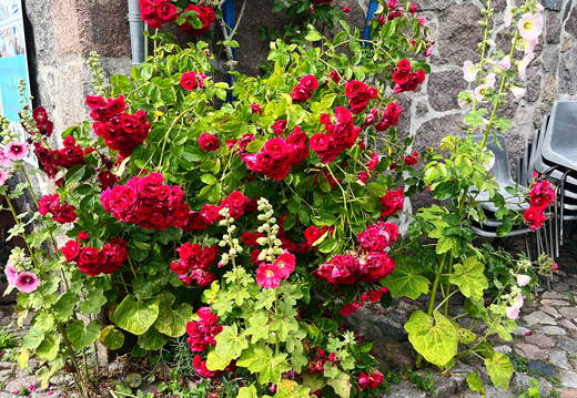 24-07-01 17-03-23 0083